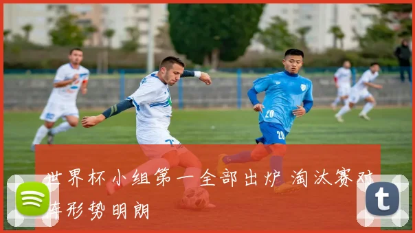 世界杯小组第一全部出炉 淘汰赛对阵形势明朗