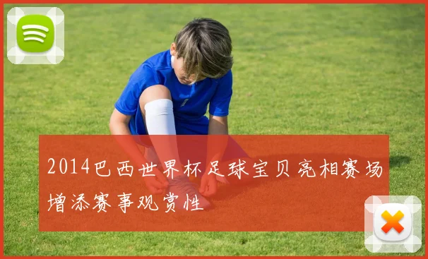 2014巴西世界杯足球宝贝亮相赛场增添赛事观赏性