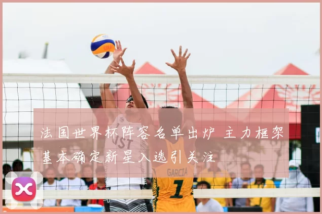 法国世界杯阵容名单出炉 主力框架基本确定新星入选引关注