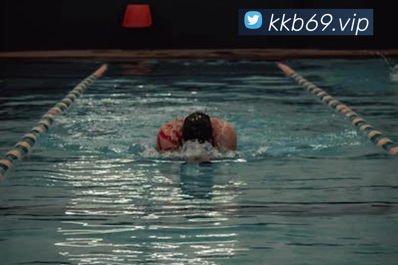 AOA官方版网站登录入口 - AOA(中国)发展历程